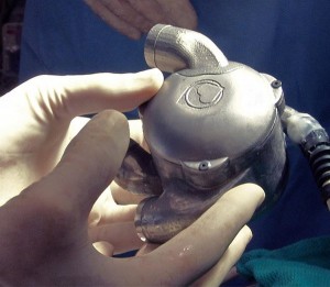 bionic heart
