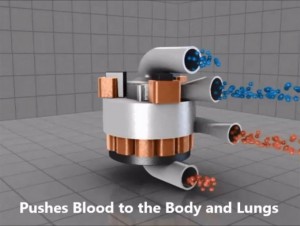 bionic heart1