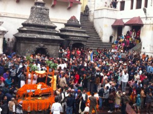 Thapa antesti2