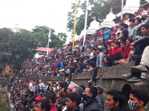 Thapa antesti3