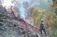 तारा एयरको जहाज दुर्घटनाग्रस्त, २३ को मृत्यु