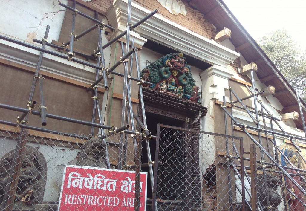 Swyambhu (26)