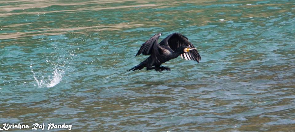 River1