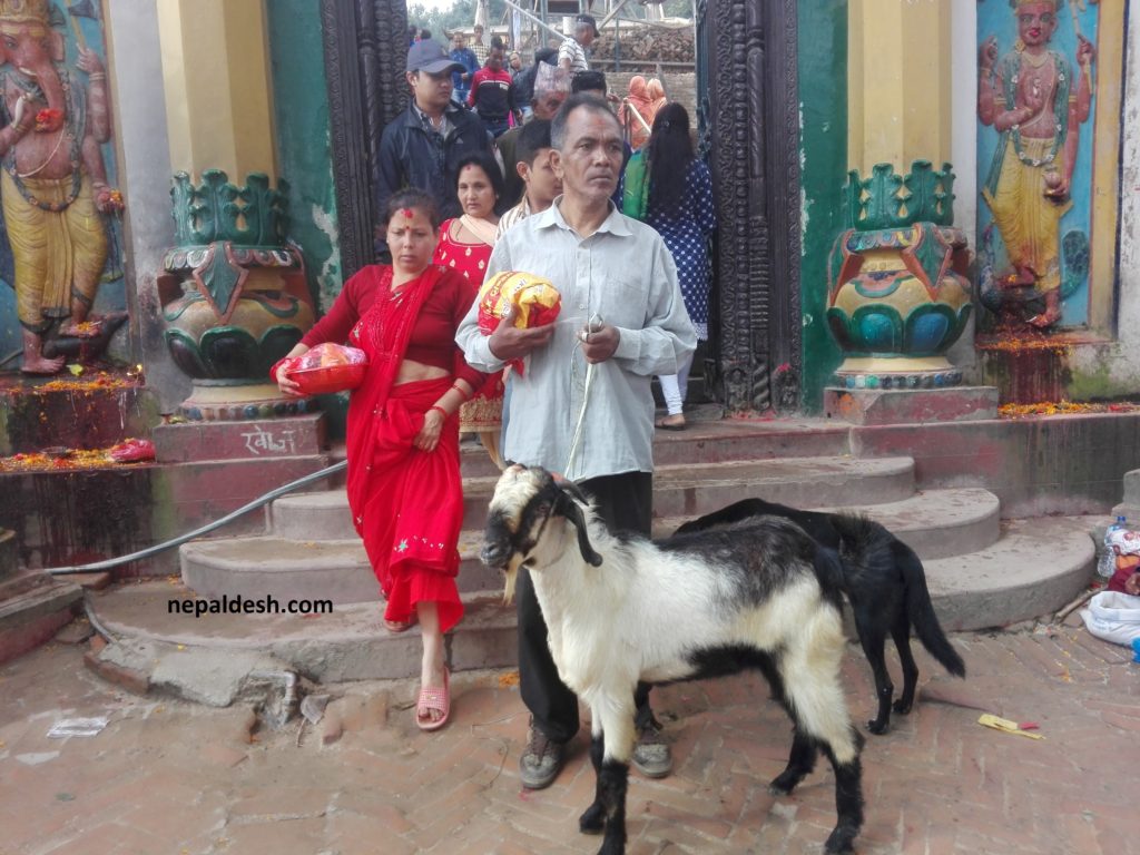 bali