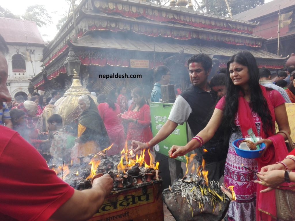 मनाइँदै महानवमी, दुर्गा भवानीको पूजा गर्ने र बलि दिनेको घुइँचो