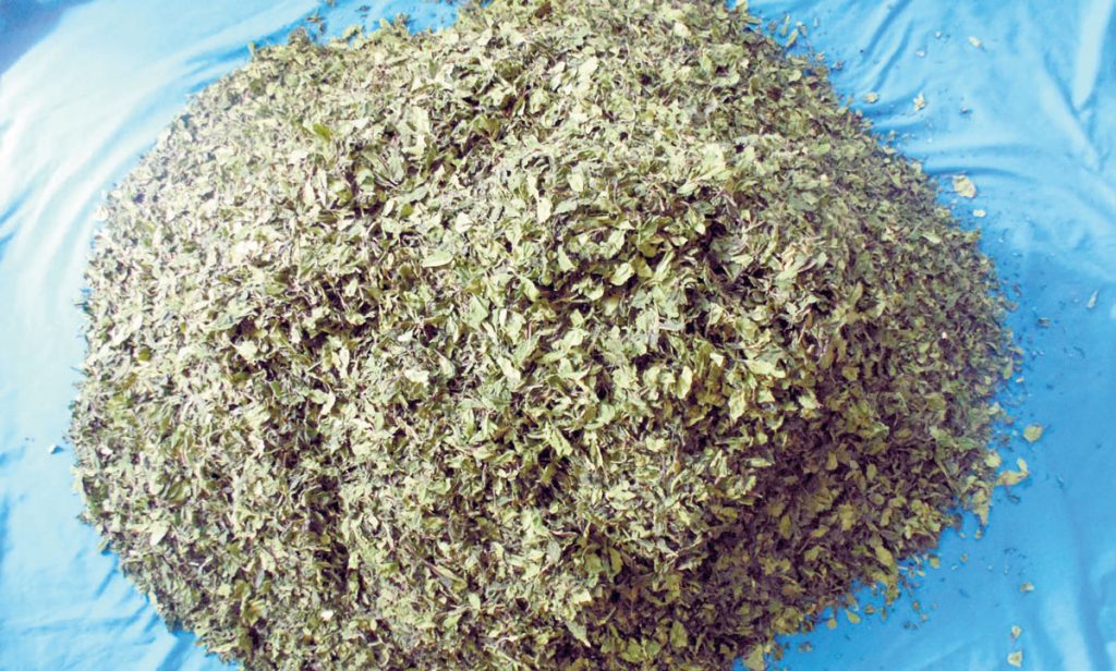 ‘ग्रिन टी’का नाउँमा लागूऔषधको व्यापार, अफ्रिकाबाट नेपाल भित्र्याउँदै युरोप पठाउँदै