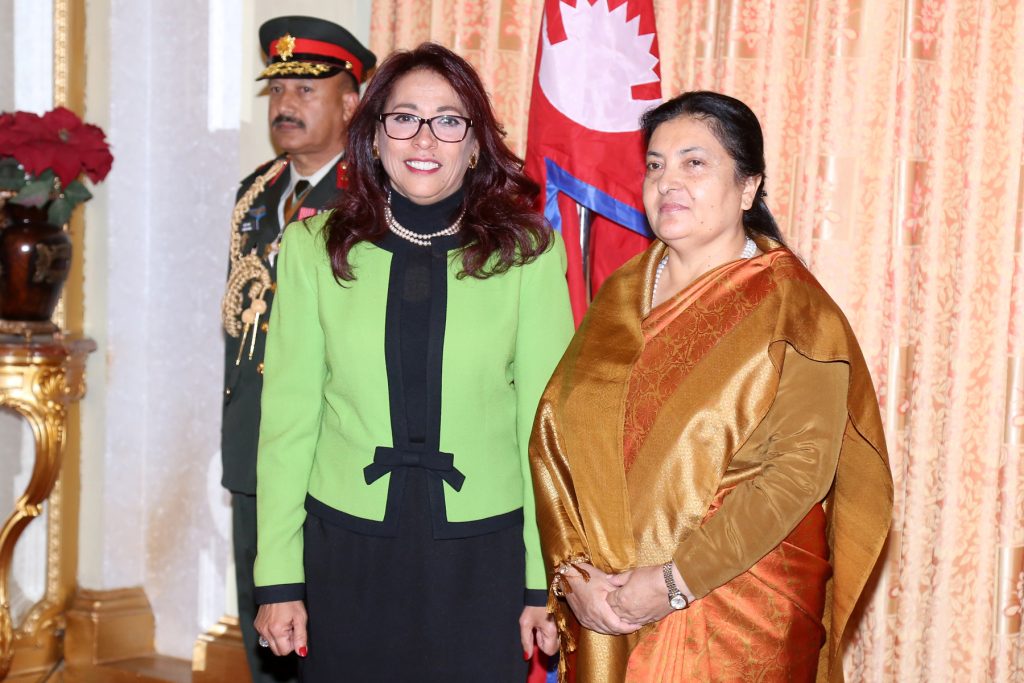 President receives letters of credence from ambassadors
